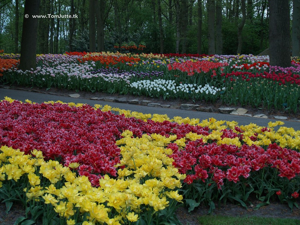 Day IV: A trip well begun is a trip half done. Also, more&nbsp;history